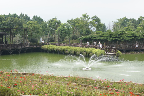 台中景點。台中新社古堡花園