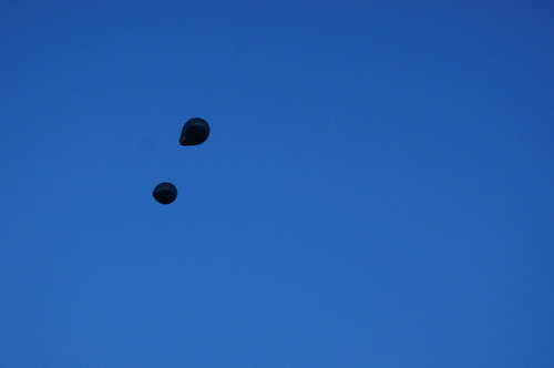 台東鹿野。初體驗Walk in 一窺熱氣球奧秘 x 繫留登熱氣球 通通都在鹿野高台