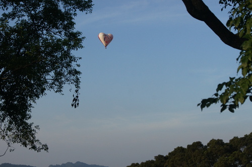 台東鹿野。初體驗Walk in 一窺熱氣球奧秘 x 繫留登熱氣球 通通都在鹿野高台
