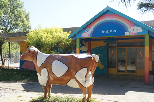 台東初鹿牧場，體驗最新鮮的牛奶