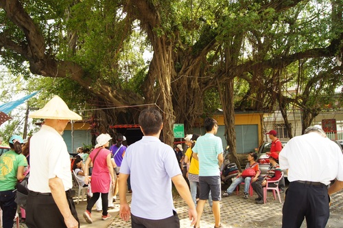 高雄旅遊。暑旗蕉遊好客 旗山溪洲社區深度文化之旅