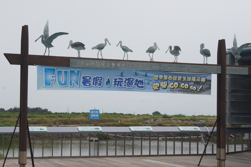 親子遊。台南七股 黑面琵鷺生態展示館 x Fun暑假、玩濕地