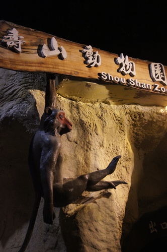高雄。夜探壽山動物園