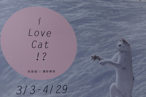 駁二藝術特區 x i Love Cat?! 、環境藝術展 : 家