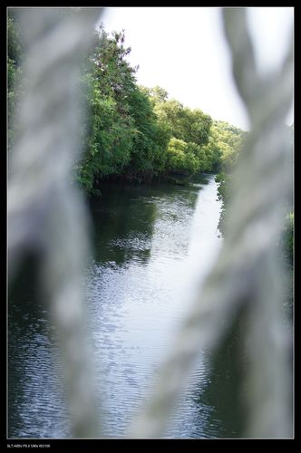台南。台江四草搭竹筏遊水上綠色隧道 x 台灣袖珍版亞馬遜河