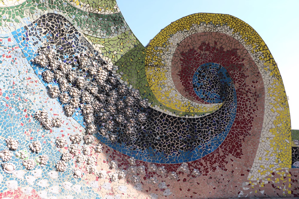 雲林台西。海園觀光區、台西海螺 x 超過4000顆、台灣最大貝殼裝置藝術