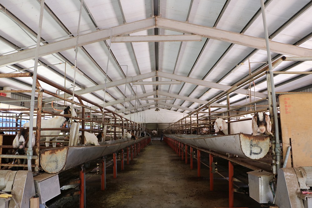 全台第一家肉羊畜牧場產銷履歷 x 育牧畜牧
