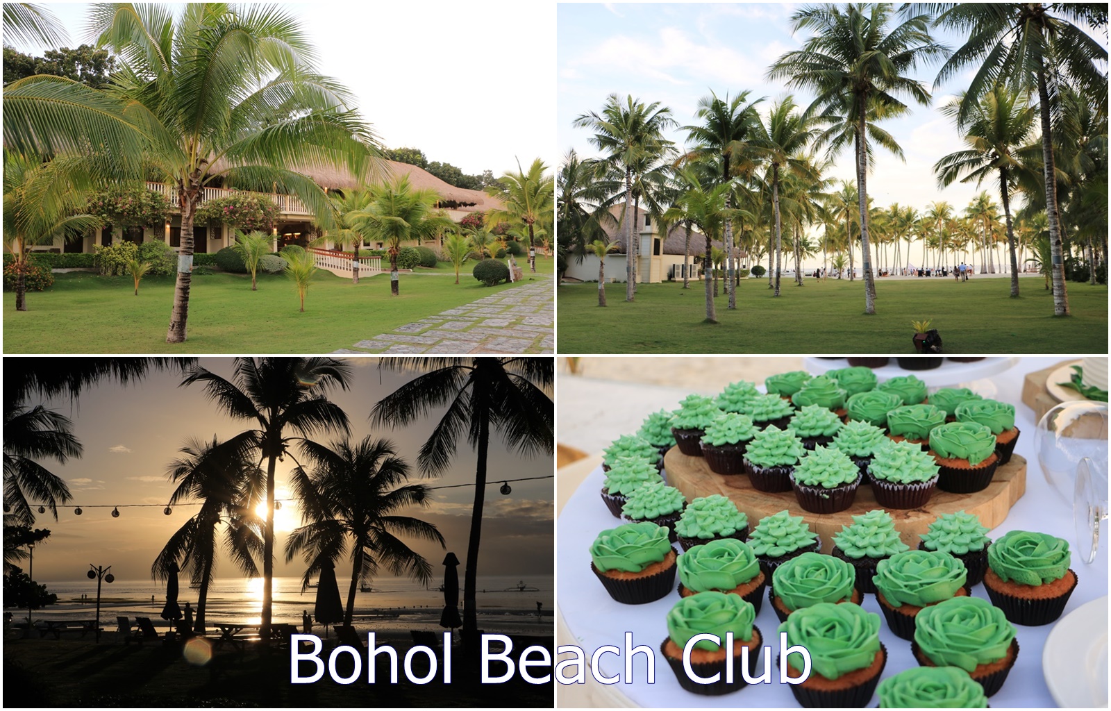 薄荷島住宿。Bohol Beach Club 薄荷海灘俱樂部渡假村 游泳、潛水、BBQ晚餐、免費晚餐秀表演
