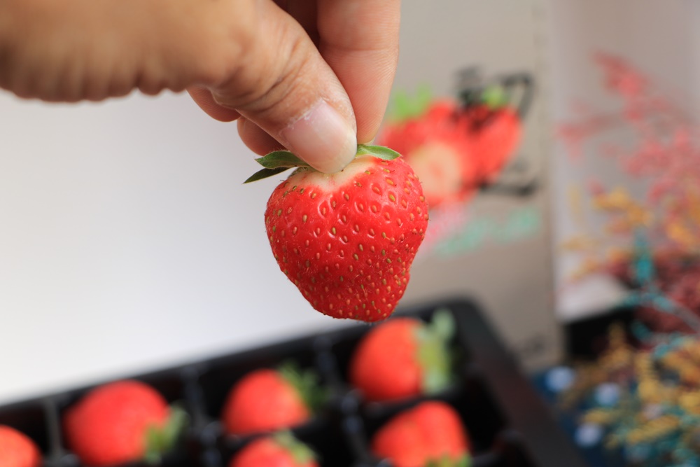 宅配有機草莓。吉菓ichico，大溪產地直送、100%天然有機草莓、草莓禮盒