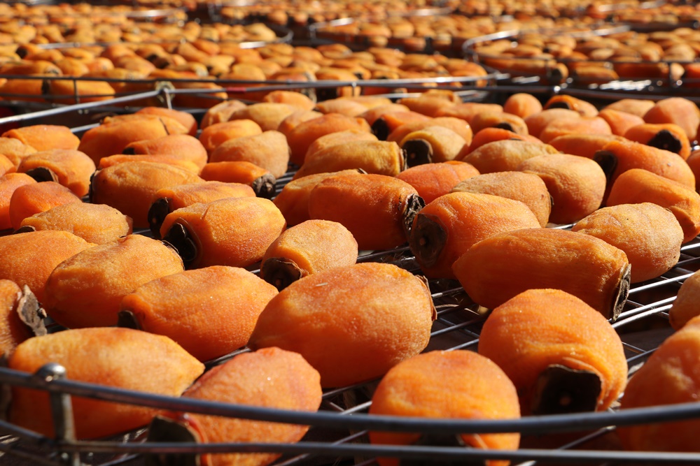 新竹新埔。味衛佳柿餅觀光農場 季節限定 曬柿餅 免費拍照打卡景點