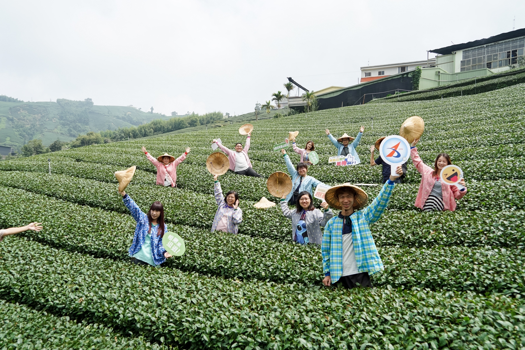 嘉義小旅行。瑞峰社區 瑞峰茶覺之旅 採茶 揉茶體驗、1314 觀景台 漫步瑞峰、茶席文化