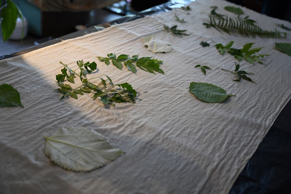 台東東河。東河蘭調織女 植物移印染DIY體驗、編織體驗