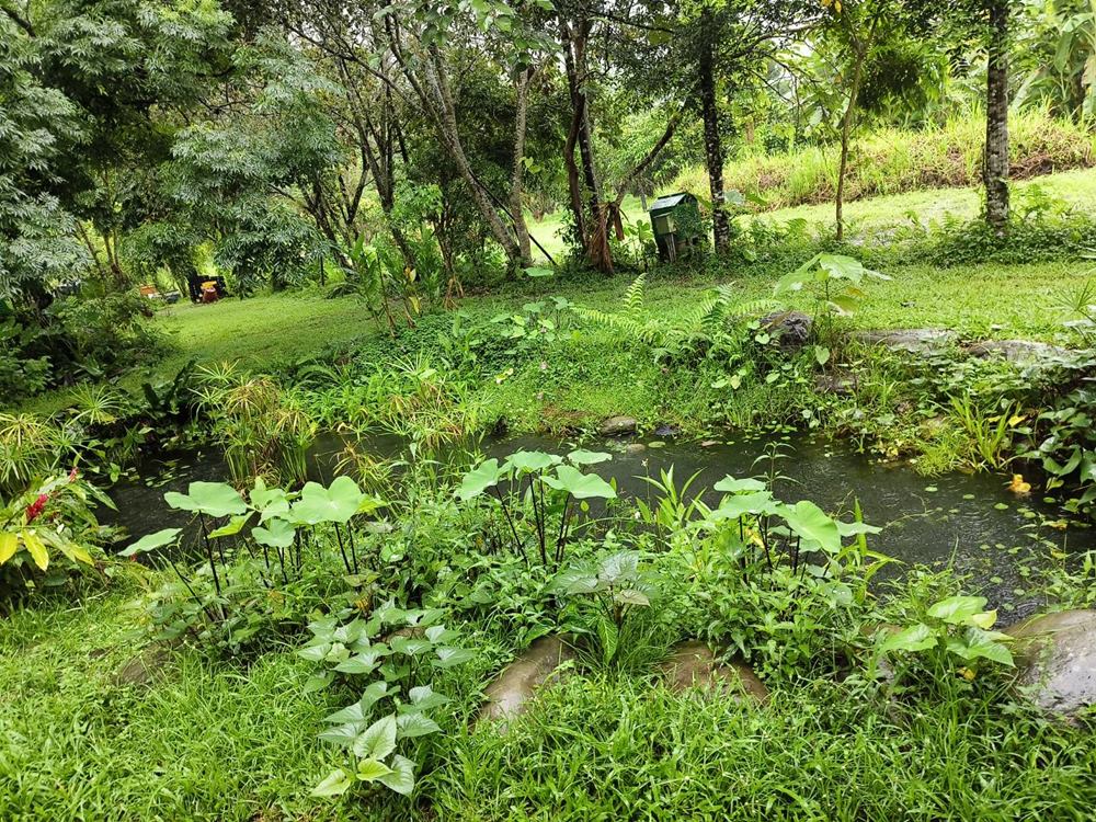 高雄六龜一日遊。自然人文生態旅遊、認識森林蜜、品嘗在地美食、走進百年老街 散策漫遊！