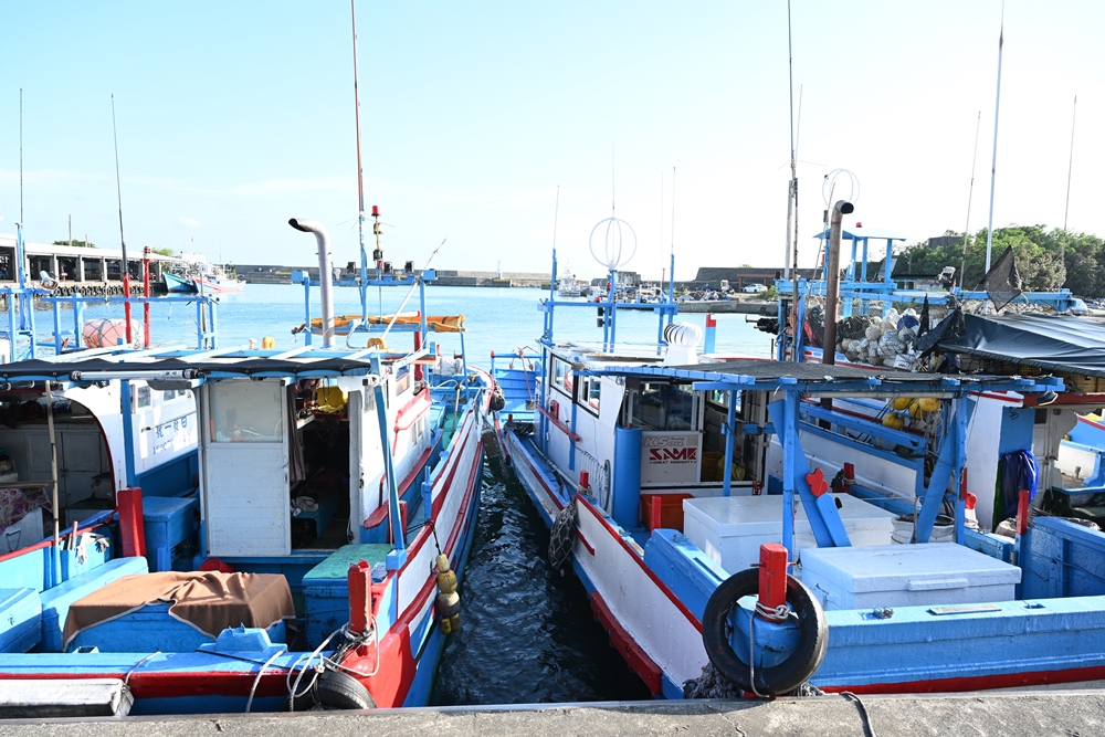 台東一日遊。一次走訪台東2大漁港 體驗漁市場魚貨拍賣、飽啖在地新鮮海味！