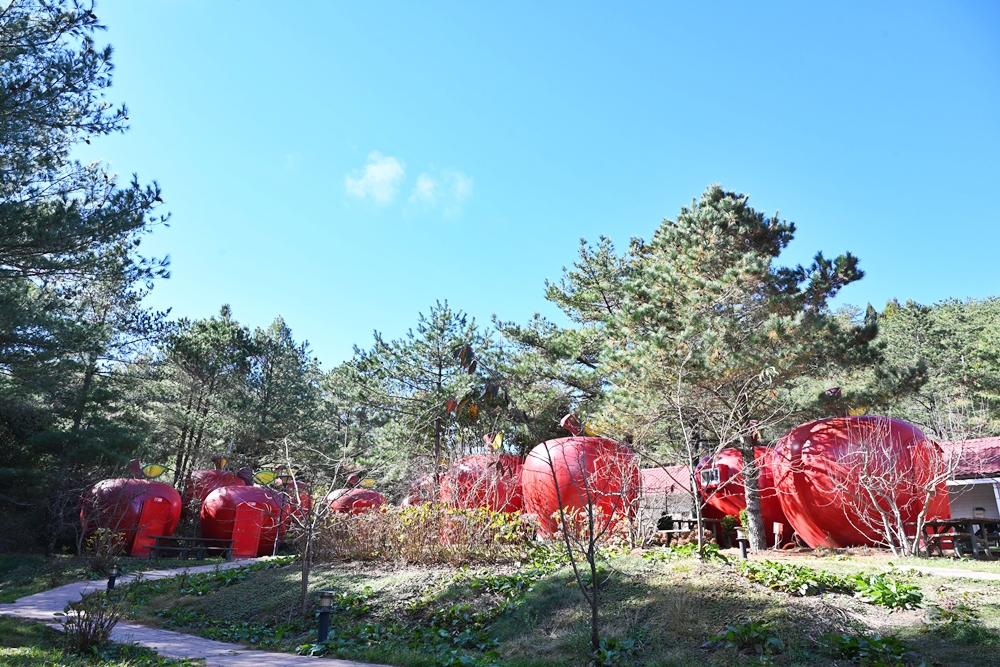 台中露營區推薦。福壽山農場 蘋果屋露營區 海拔最高 巨大蘋果露營區、 紅咚咚超Q萌蘋果屋！