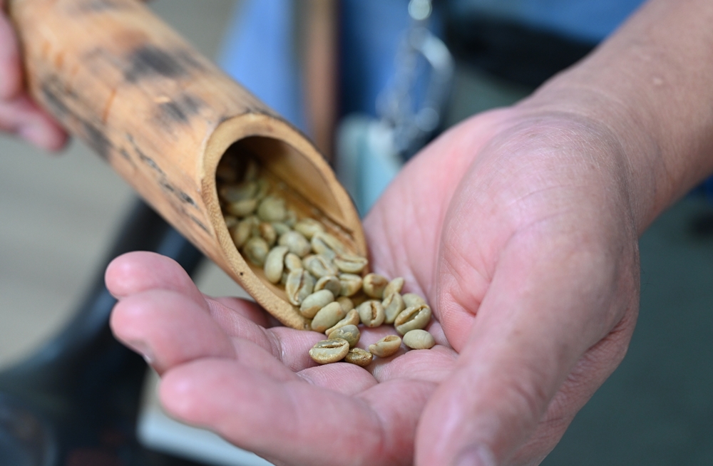 屏東旅遊。吾拉魯滋部落、吾拉魯滋部落咖啡產業館 手烘咖啡體驗！