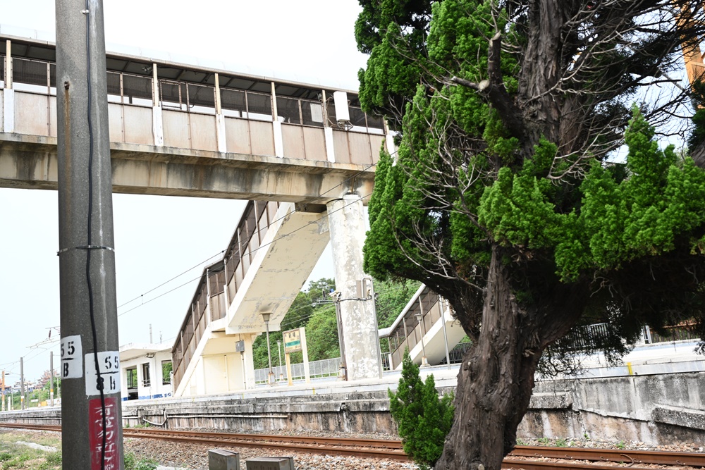 苗栗景點。海線五寶 新埔車站 西部幹線最靠海的車站 距離海堤步道只要200公尺、火車迷必訪！