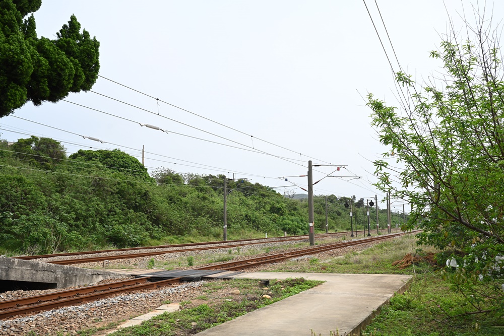 苗栗景點。海線五寶 新埔車站 西部幹線最靠海的車站 距離海堤步道只要200公尺、火車迷必訪！