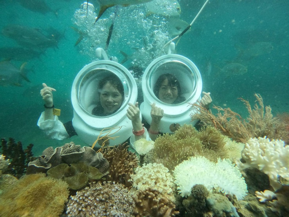 富國島旅遊。富國島Namaste 珊瑚公園海底漫步！