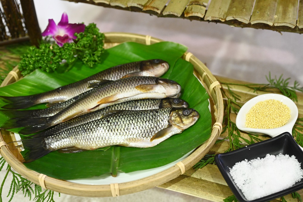 烏來一日遊。加納富魚食坊(內洞美食) 烏來山林料理廚房課程、苦花魚一夜干、舒肥鱘龍魚佐馬告鱘龍魚肝醬！