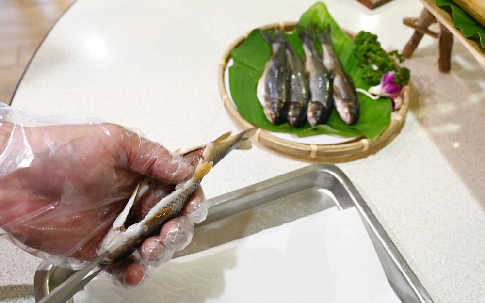 烏來一日遊。加納富魚食坊(內洞美食) 烏來山林料理廚房課程、苦花魚一夜干、舒肥鱘龍魚佐馬告鱘龍魚肝醬！