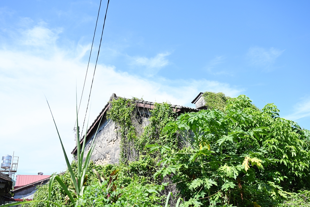 高雄旗山一日遊。深度走讀旗山大圓潭 解鎖山澗八里｜DIY、餵羊、餵雞、撿雞蛋，吃喝玩樂通通一把罩！