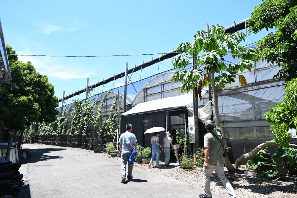 高雄旗山一日遊。深度走讀旗山大圓潭 解鎖山澗八里｜DIY、餵羊、餵雞、撿雞蛋，吃喝玩樂通通一把罩！