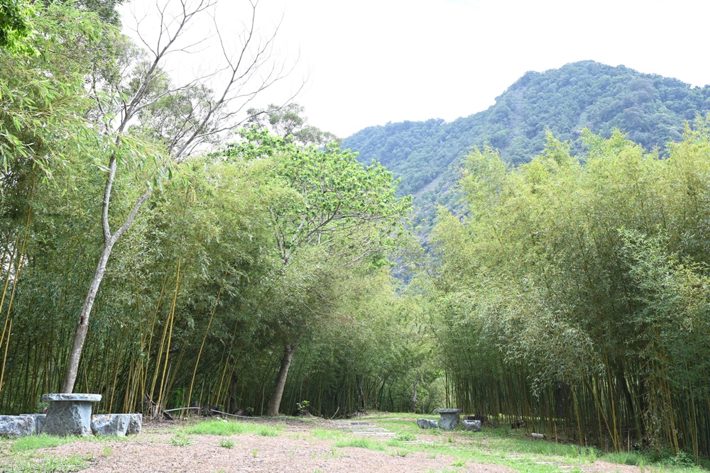 花蓮二日遊。六十石山金針花季 忘憂大地感謝祭 交通管制、最新花況、二日遊景點推薦！