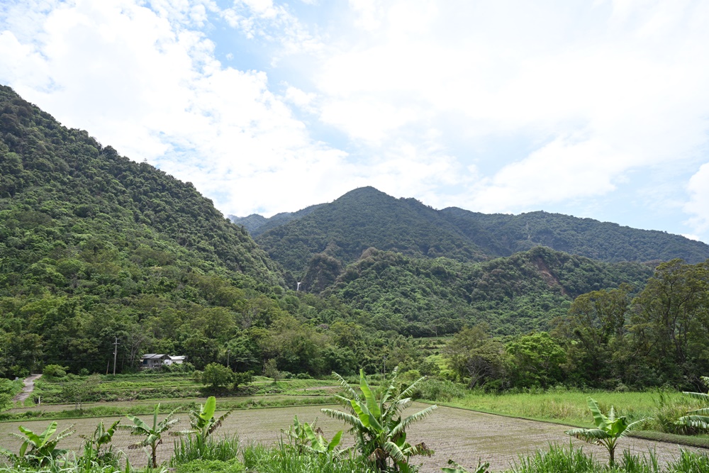 花蓮二日遊。六十石山金針花季 忘憂大地感謝祭 交通管制、最新花況、二日遊景點推薦！