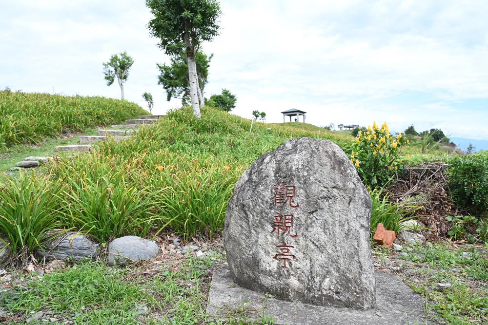 花蓮二日遊。六十石山金針花季 忘憂大地感謝祭 交通管制、最新花況、二日遊景點推薦！