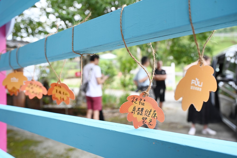 花蓮二日遊。六十石山金針花季 忘憂大地感謝祭 交通管制、最新花況、二日遊景點推薦！