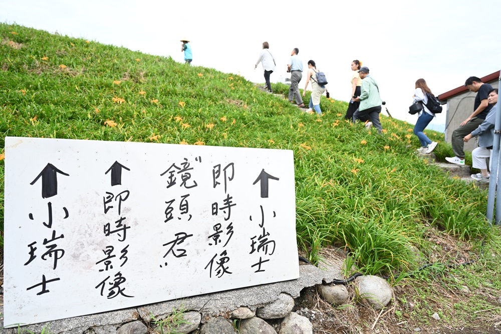 花蓮二日遊。六十石山金針花季 忘憂大地感謝祭 交通管制、最新花況、二日遊景點推薦！