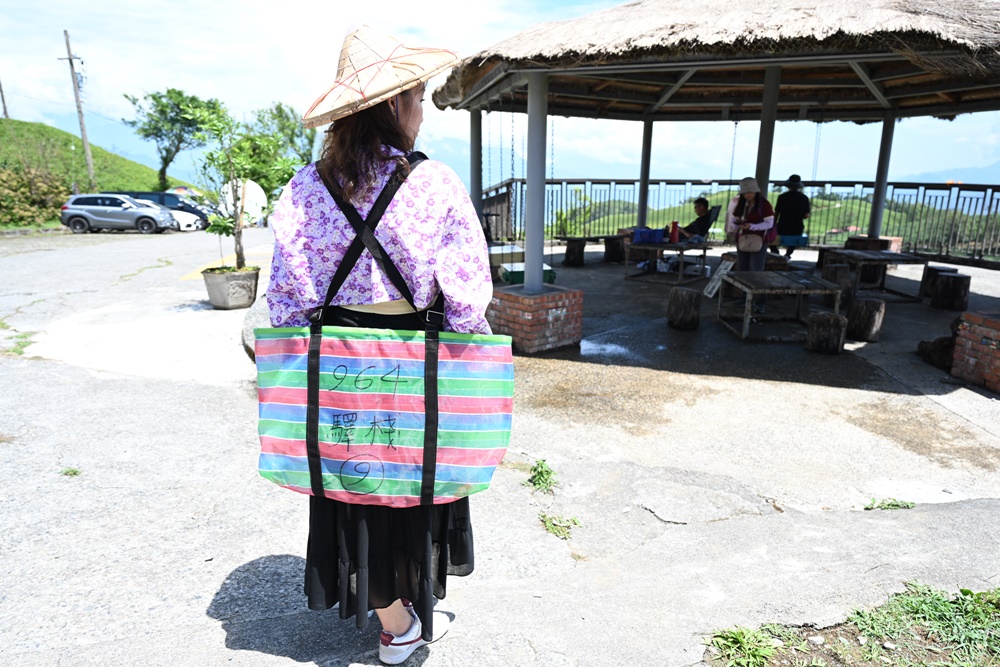 花蓮二日遊。六十石山金針花季 忘憂大地感謝祭 交通管制、最新花況、二日遊景點推薦！