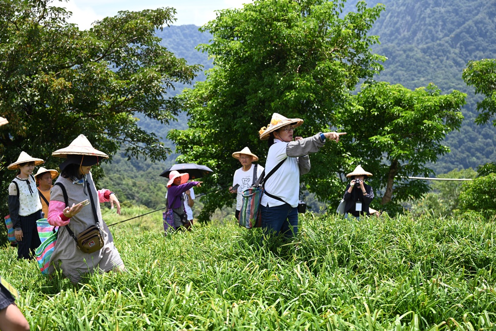 花蓮二日遊。六十石山金針花季 忘憂大地感謝祭 交通管制、最新花況、二日遊景點推薦！