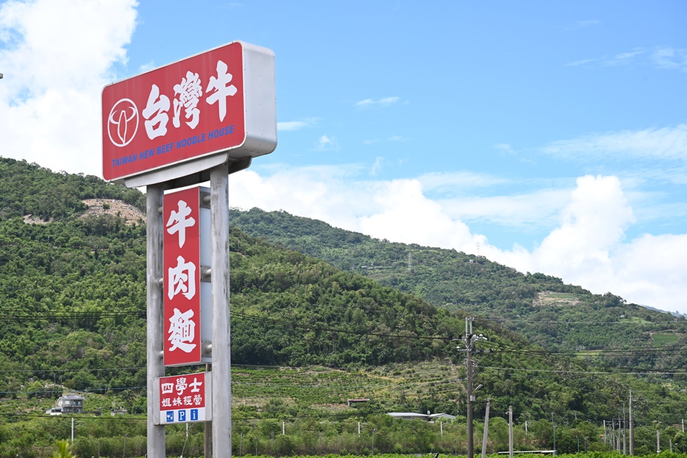 台東三日遊。我在太麻里好解憂 太麻里金針花海、台東旅遊景點、太麻里商圈特色美食推薦！