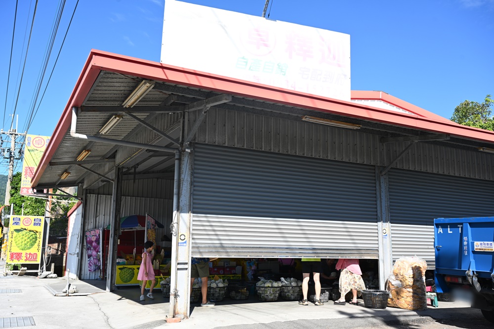 台東三日遊。我在太麻里好解憂 太麻里金針花海、台東旅遊景點、太麻里商圈特色美食推薦！