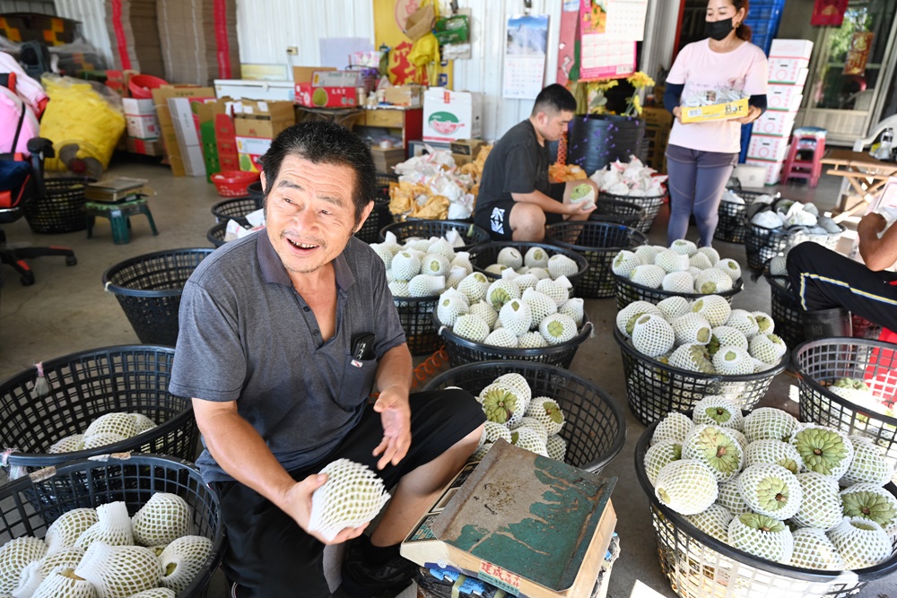 台東三日遊。我在太麻里好解憂 太麻里金針花海、台東旅遊景點、太麻里商圈特色美食推薦！