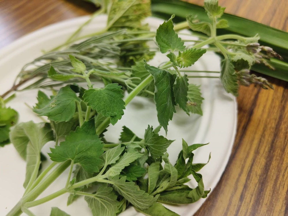 花蓮一日遊。海潮洄瀾自然人文之旅、跟著移居者的路線玩花蓮吉安鄉！