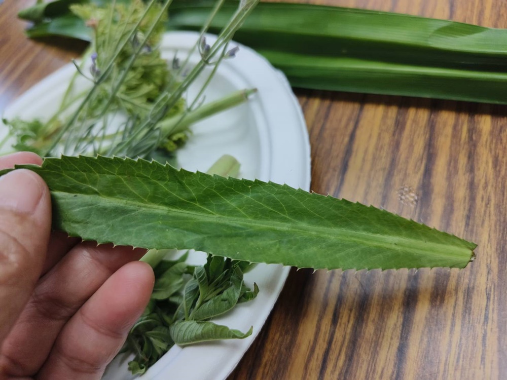 花蓮一日遊。海潮洄瀾自然人文之旅、跟著移居者的路線玩花蓮吉安鄉！