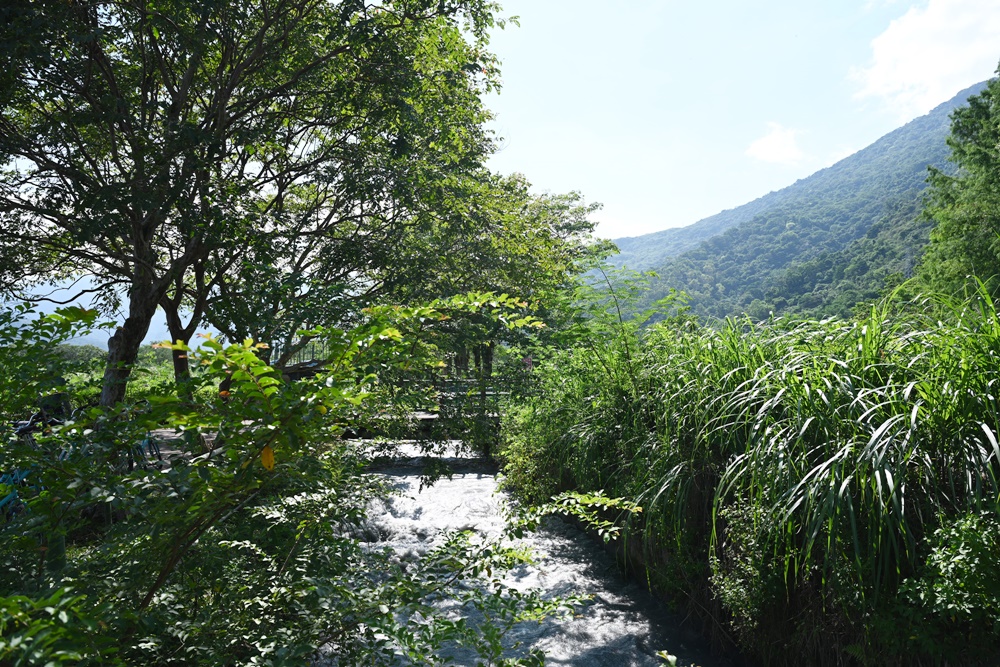 花蓮一日遊。海潮洄瀾自然人文之旅、跟著移居者的路線玩花蓮吉安鄉！