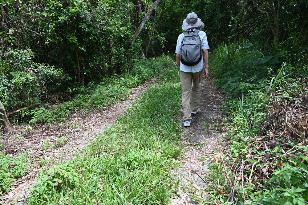 花蓮一日遊。海潮洄瀾自然人文之旅 大地孕育-從海洋到食農之旅、吉安四寶、DIY牛汶水！