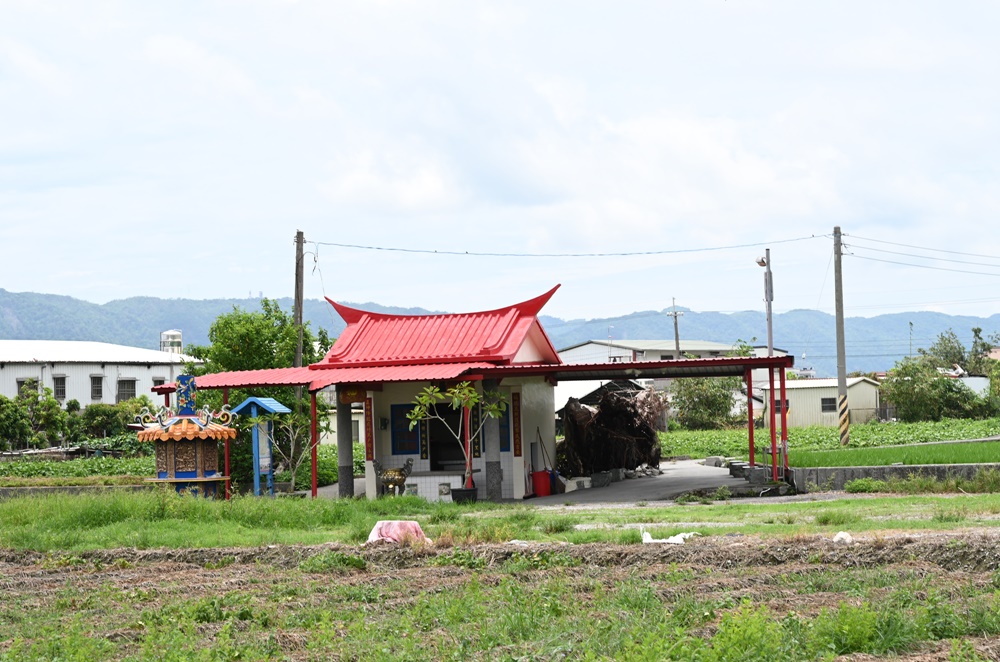 花蓮一日遊。海潮洄瀾自然人文之旅 大地孕育-從海洋到食農之旅、吉安四寶、DIY牛汶水！