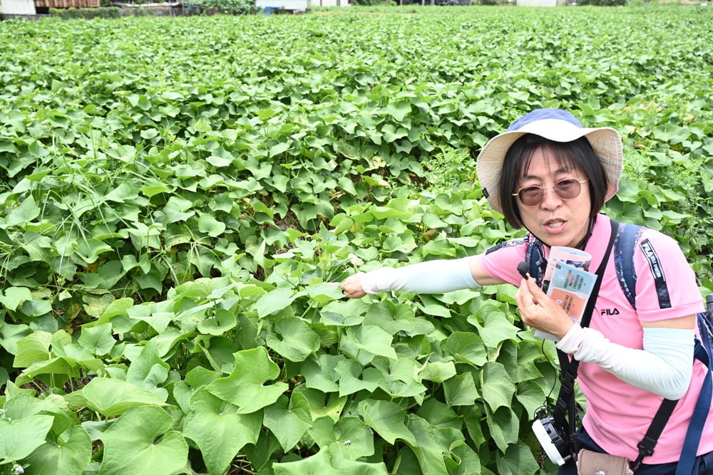 花蓮一日遊。海潮洄瀾自然人文之旅 大地孕育-從海洋到食農之旅、吉安四寶、DIY牛汶水！