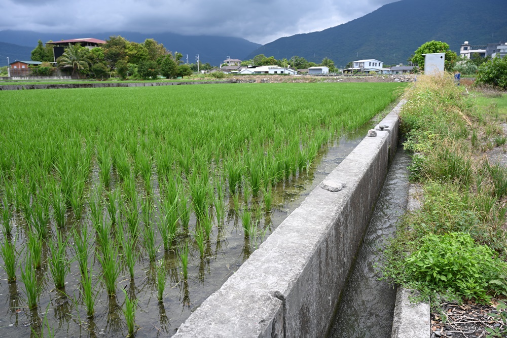 花蓮一日遊。海潮洄瀾自然人文之旅 大地孕育-從海洋到食農之旅、吉安四寶、DIY牛汶水！