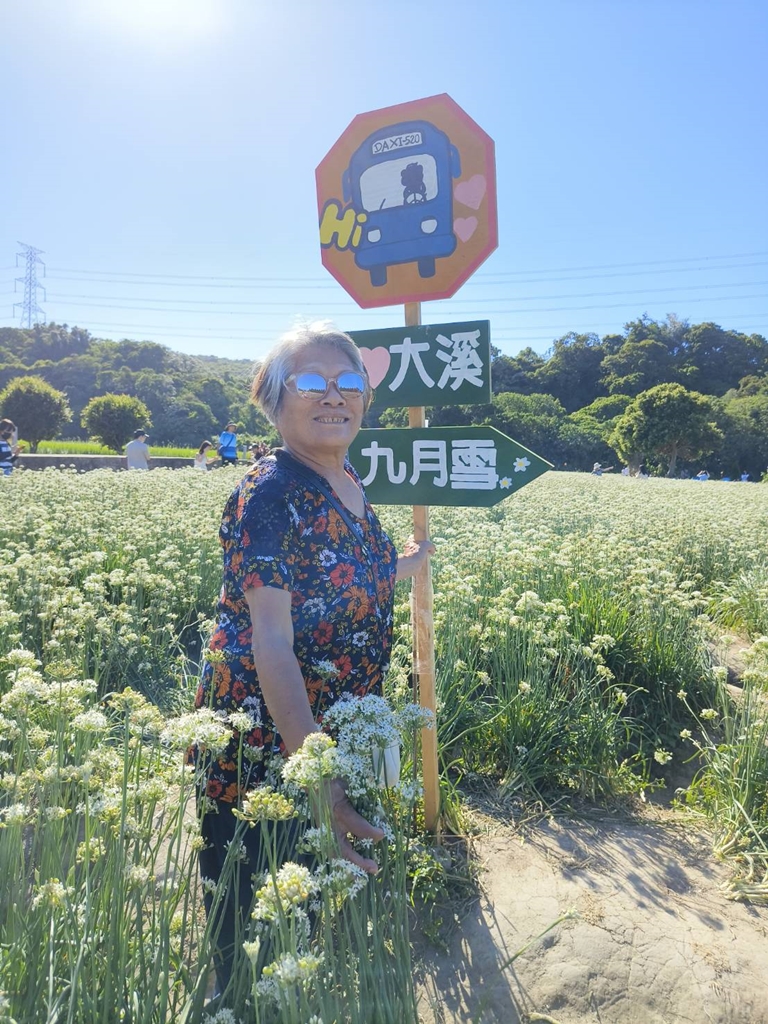 桃園大溪韭菜花季。大溪韭菜花田 浪漫九月雪花海綻放、還有歐風黃色小屋同步入鏡！