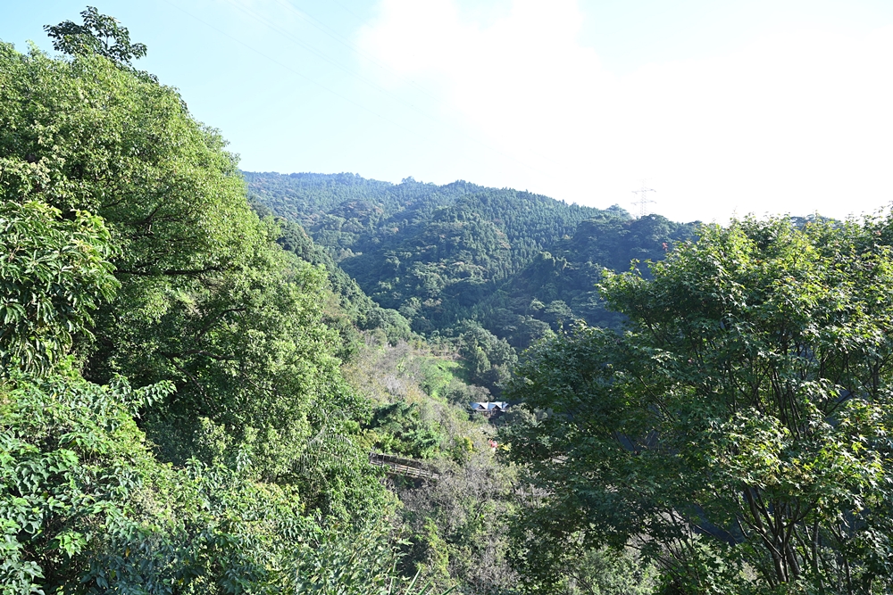 苗栗南庄住宿推薦。山行寄野 被山林環繞的絕美民宿！