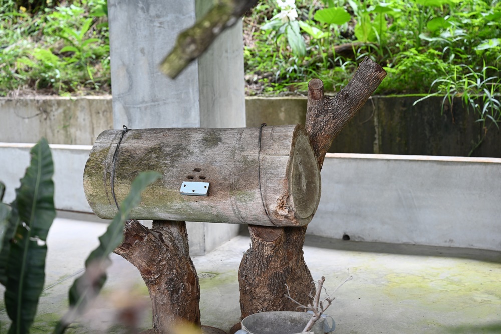 台南東山住宿推薦。仙湖休閒農場 人與山旅宿 一泊二食、無邊際游泳池、桂圓烘焙寮！俗女養成記拍攝景點！