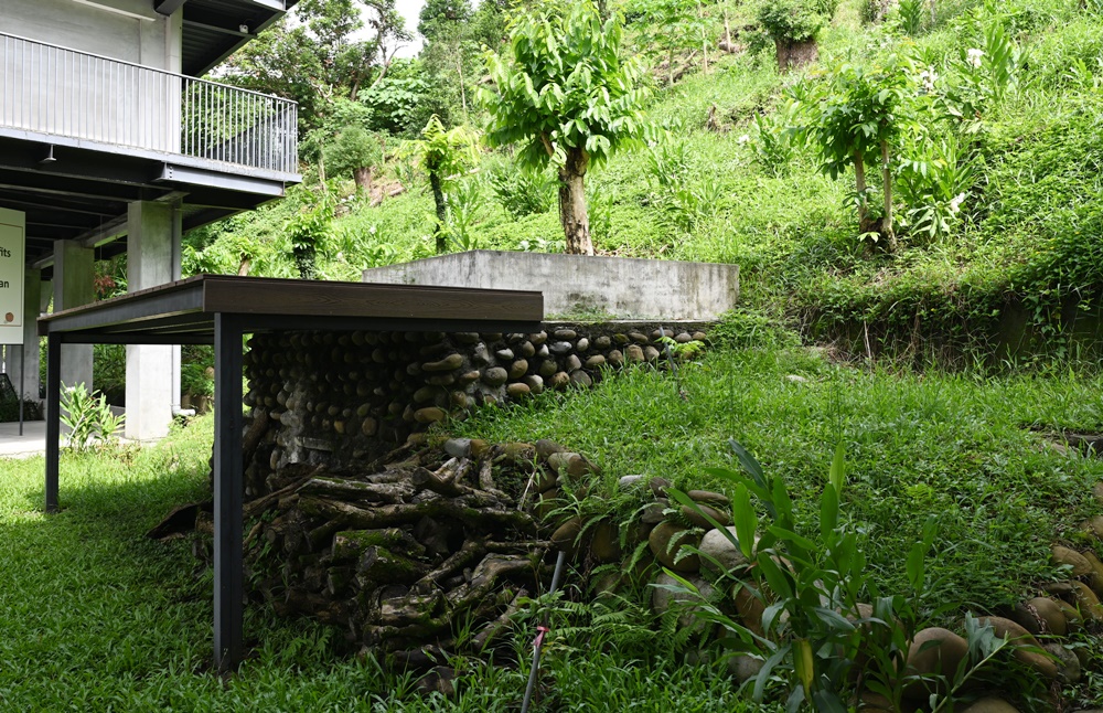 台南東山住宿推薦。仙湖休閒農場 人與山旅宿 一泊二食、無邊際游泳池、桂圓烘焙寮！俗女養成記拍攝景點！