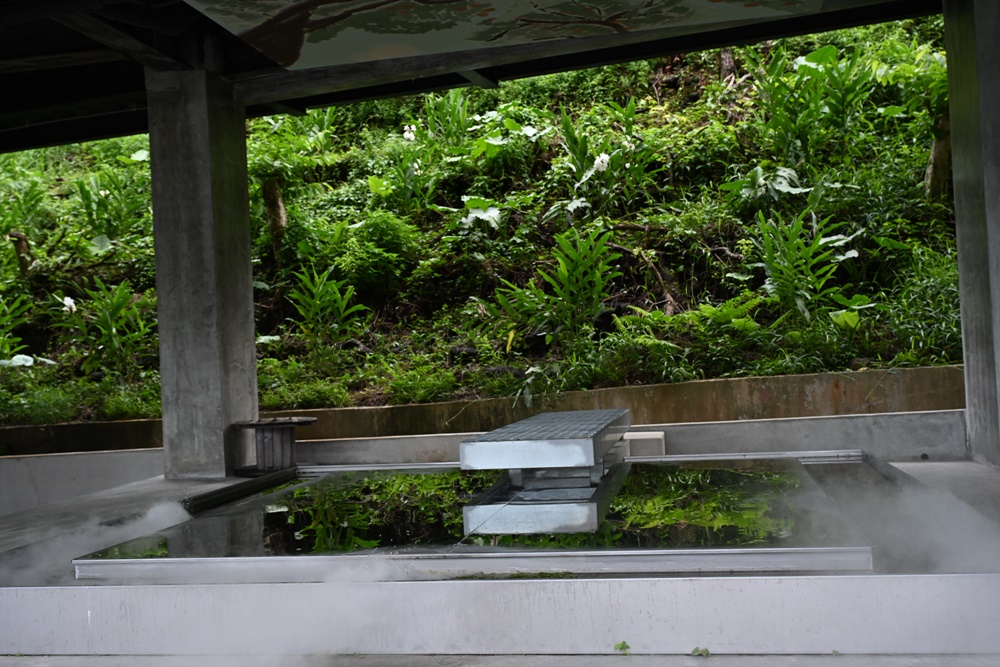 台南東山住宿推薦。仙湖休閒農場 人與山旅宿 一泊二食、無邊際游泳池、桂圓烘焙寮！俗女養成記拍攝景點！