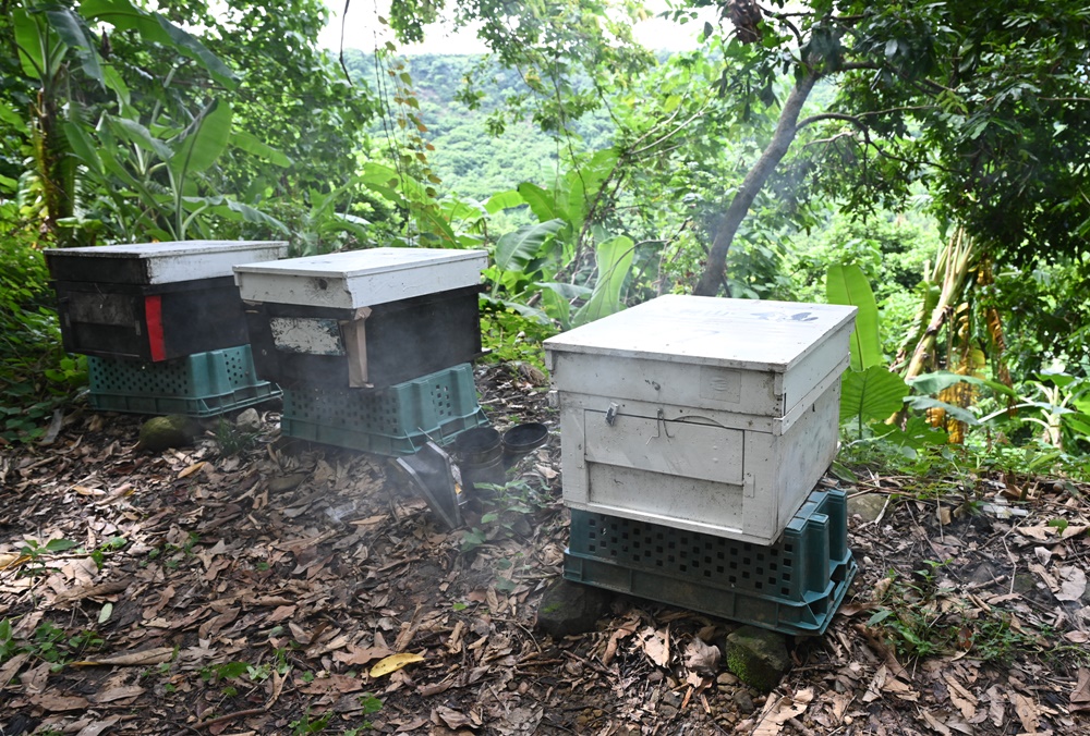 台南東山住宿推薦。仙湖休閒農場 人與山旅宿 一泊二食、無邊際游泳池、桂圓烘焙寮！俗女養成記拍攝景點！